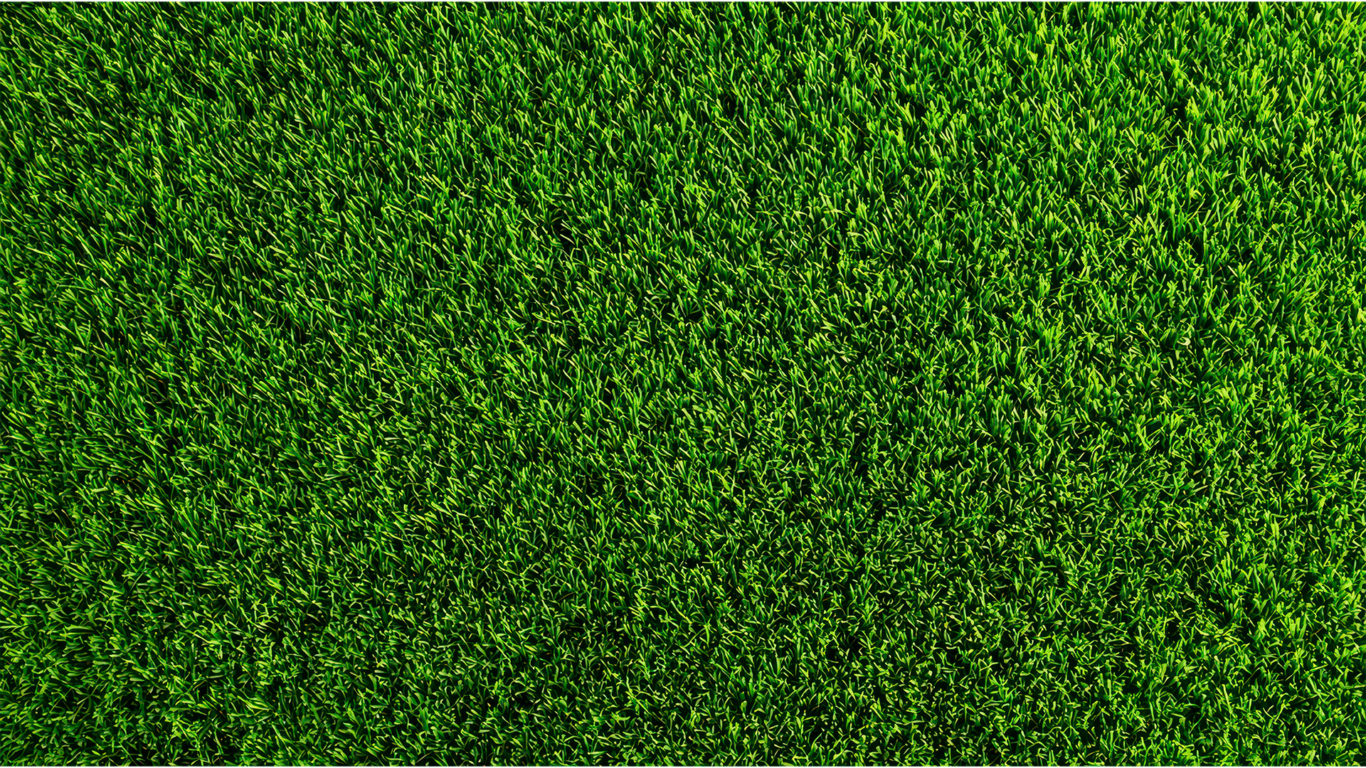 Pasto Sintético Chihuahua